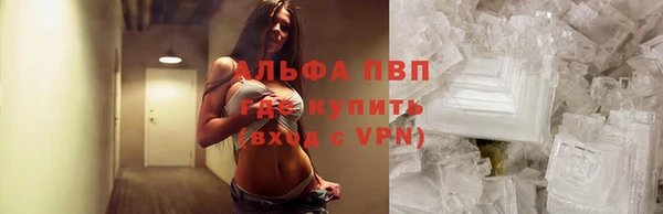 хмурый Верея