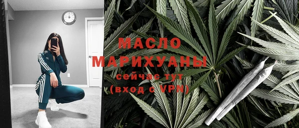 хмурый Верея